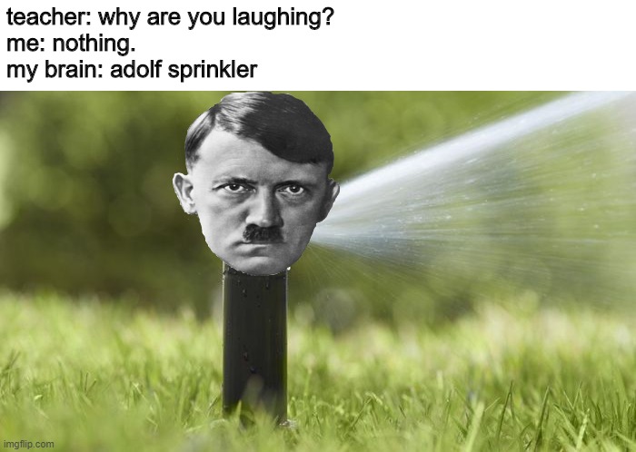i regret making this | teacher: why are you laughing?
me: nothing.
my brain: adolf sprinkler | image tagged in adolf hitler | made w/ Imgflip meme maker