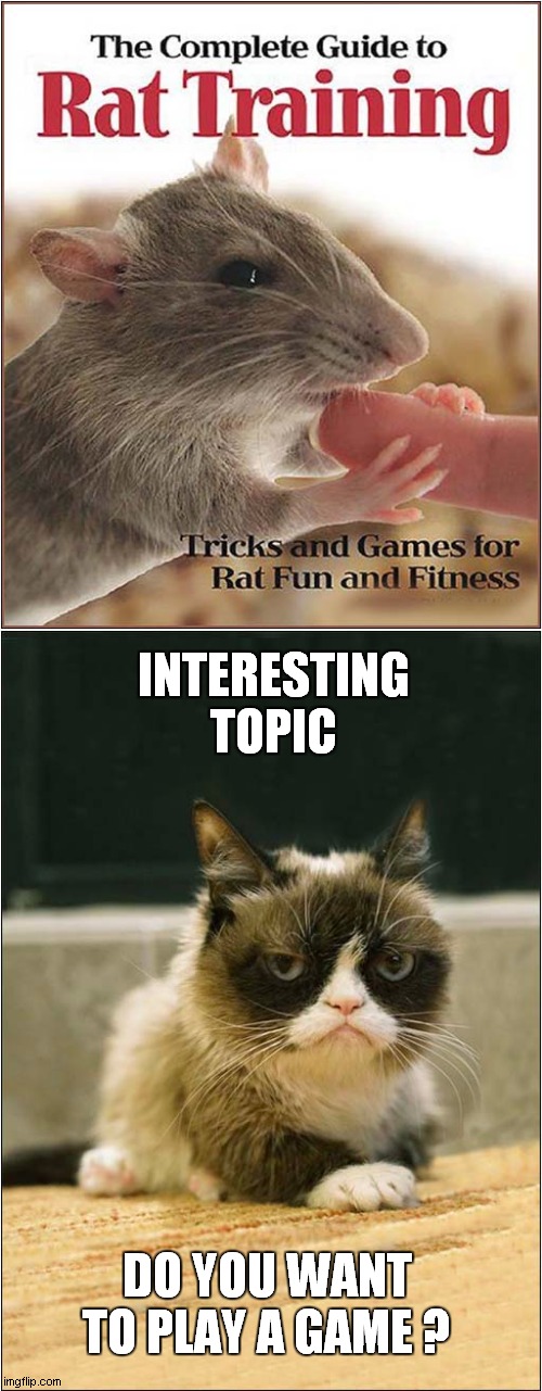 Grumpys Fun & Games With Rat | INTERESTING TOPIC; DO YOU WANT TO PLAY A GAME ? | image tagged in fun,grumpy cat,rats | made w/ Imgflip meme maker