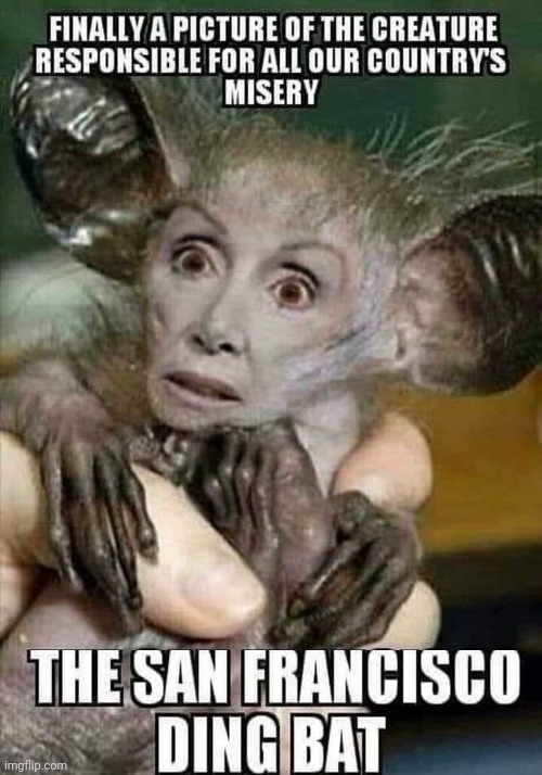 THE SAN FRANCISCO DING BAT | image tagged in nancy pelosi | made w/ Imgflip meme maker
