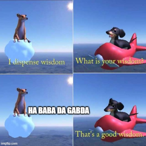HA baba da gabda | HA BABA DA GABDA | image tagged in dog wisdom | made w/ Imgflip meme maker