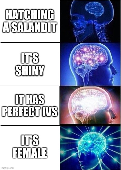 Luckiest person alive | HATCHING A SALANDIT; IT'S SHINY; IT HAS PERFECT IVS; IT'S FEMALE | image tagged in memes,expanding brain | made w/ Imgflip meme maker