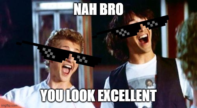 Bill and Ted | NAH BRO YOU LOOK EXCELLENT | image tagged in bill and ted | made w/ Imgflip meme maker