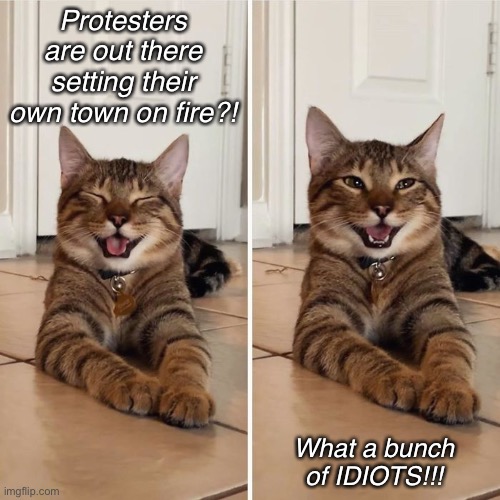 Cat Cracking Up | Protesters are out there setting their own town on fire?! What a bunch of IDIOTS!!! | image tagged in cat cracking up | made w/ Imgflip meme maker