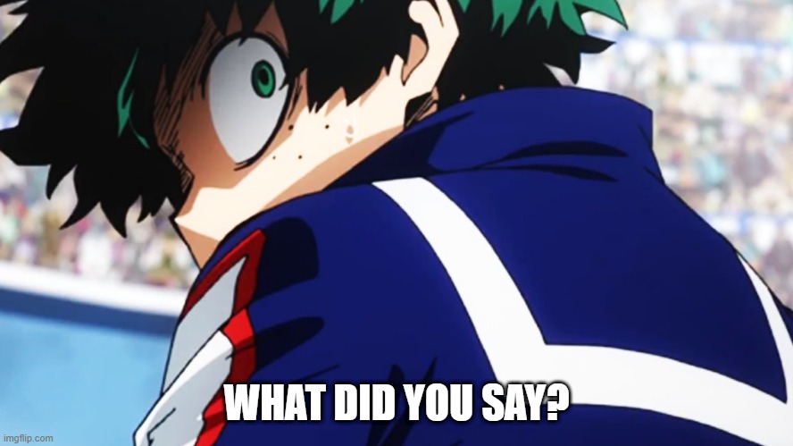 Deku what you say | WHAT DID YOU SAY? | image tagged in deku what you say | made w/ Imgflip meme maker