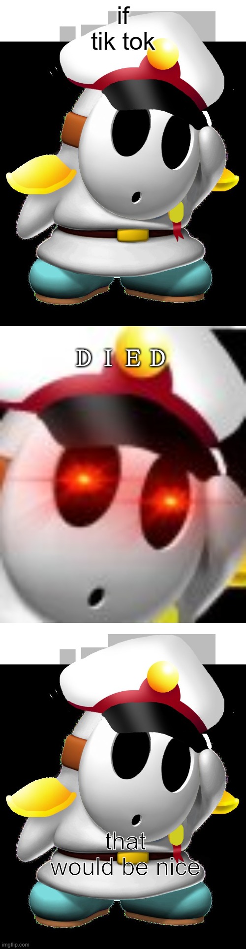 if tik tok; ＤＩＥＤ; that would be nice | image tagged in general shy guy paper mario | made w/ Imgflip meme maker