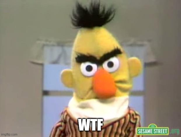 Sesame Street - Angry Bert | WTF | image tagged in sesame street - angry bert | made w/ Imgflip meme maker