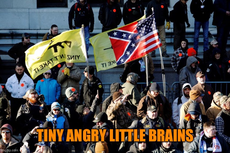 TINY ANGRY LITTLE BRAINS | made w/ Imgflip meme maker