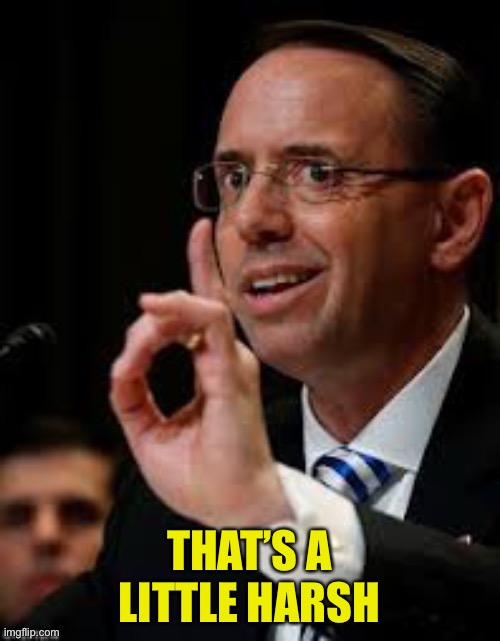 Rod Rosenstein | THAT’S A LITTLE HARSH | image tagged in rod rosenstein | made w/ Imgflip meme maker