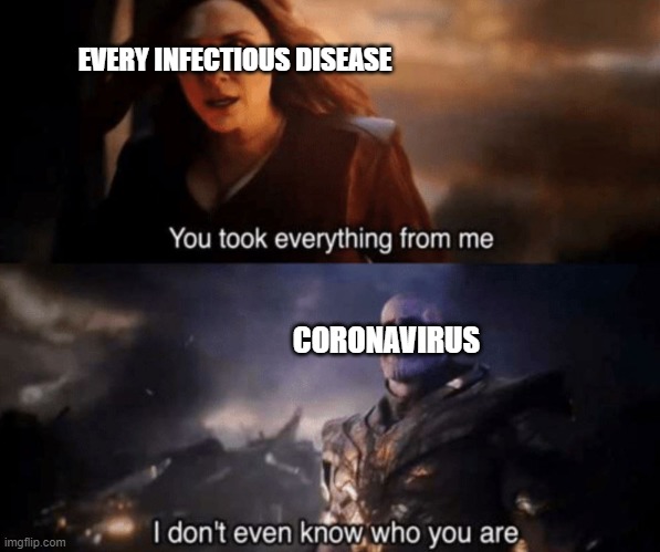 You took everything from me - I don't even know who you are | EVERY INFECTIOUS DISEASE; CORONAVIRUS | image tagged in you took everything from me - i don't even know who you are,memes | made w/ Imgflip meme maker