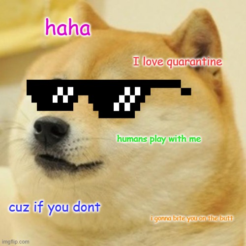 Doge | haha; I love quarantine; humans play with me; cuz if you dont; i gonna bite you on the butt | image tagged in memes,doge | made w/ Imgflip meme maker