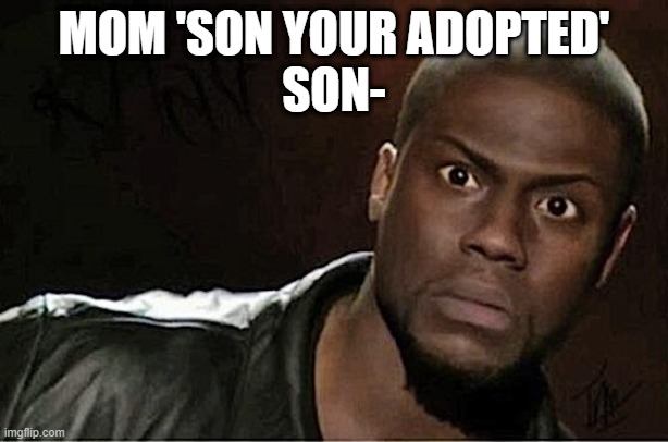 Kevin Hart Meme | MOM 'SON YOUR ADOPTED'
SON- | image tagged in memes,kevin hart | made w/ Imgflip meme maker