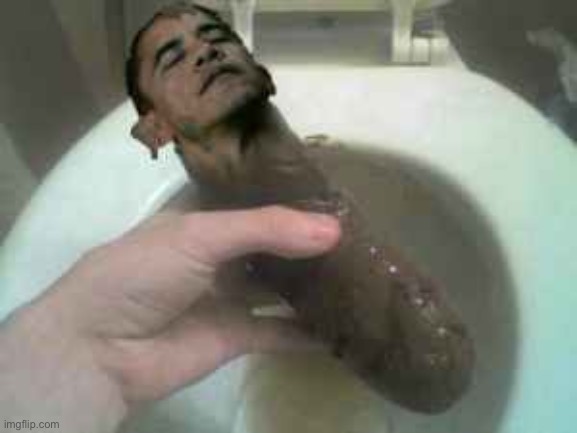 Obama Turd | image tagged in obama turd | made w/ Imgflip meme maker