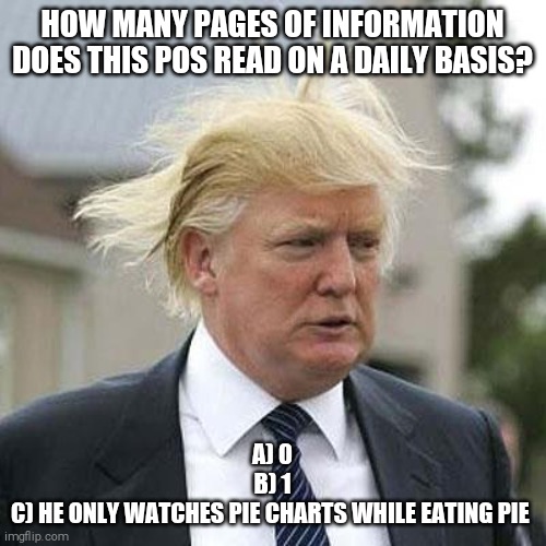 Can he even read serious reports? | HOW MANY PAGES OF INFORMATION DOES THIS POS READ ON A DAILY BASIS? A) 0
B) 1
C) HE ONLY WATCHES PIE CHARTS WHILE EATING PIE | image tagged in memes,donald trump,dumb,evil,greed | made w/ Imgflip meme maker