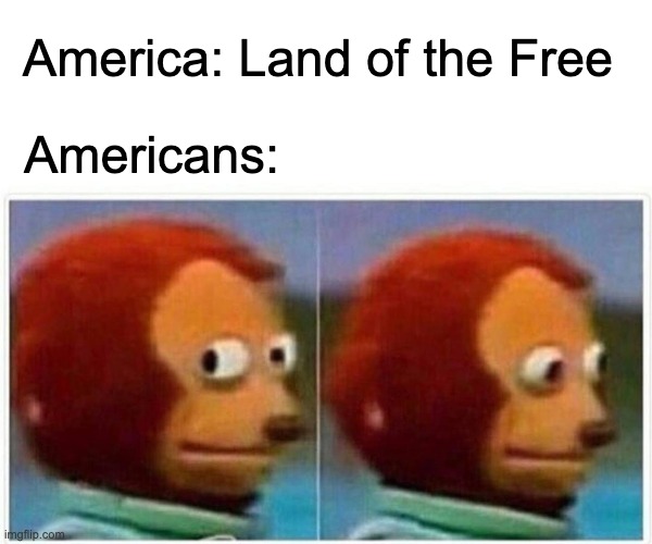 Monkey Puppet |  America: Land of the Free; Americans: | image tagged in memes,monkey puppet | made w/ Imgflip meme maker