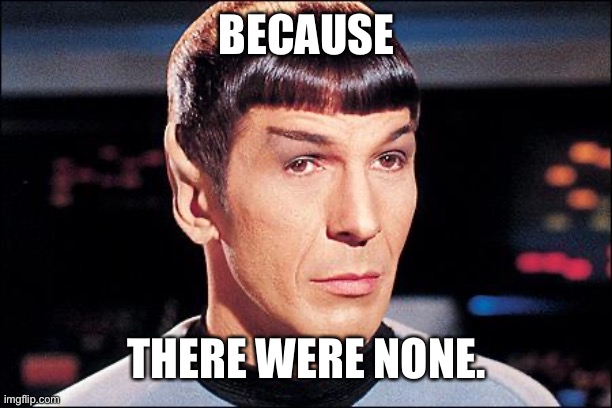 Condescending Spock | BECAUSE THERE WERE NONE. | image tagged in condescending spock | made w/ Imgflip meme maker