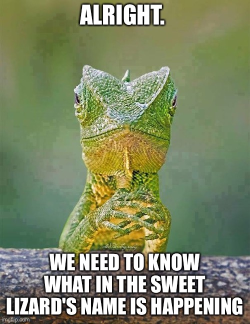 Discussion Board | ALRIGHT. WE NEED TO KNOW WHAT IN THE SWEET LIZARD'S NAME IS HAPPENING | image tagged in sarcastic lizard | made w/ Imgflip meme maker
