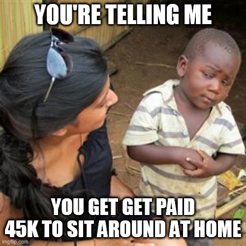 so youre telling me | YOU'RE TELLING ME; YOU GET GET PAID 45K TO SIT AROUND AT HOME | image tagged in so youre telling me,Accounting | made w/ Imgflip meme maker