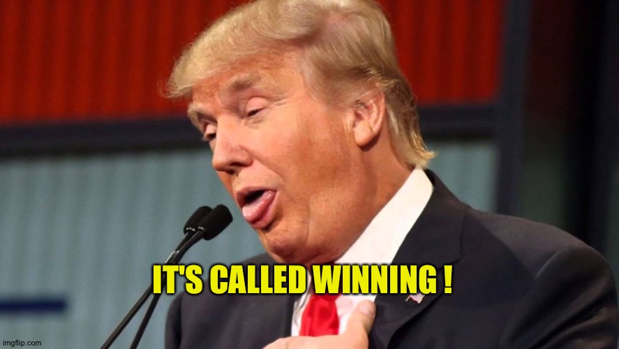 Stupid trump | IT'S CALLED WINNING ! | image tagged in stupid trump | made w/ Imgflip meme maker