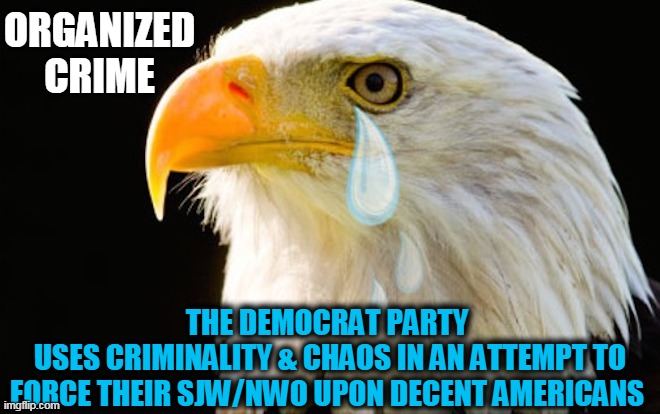 Liberal Progressives Unite Against Americans and Law & Order! | ORGANIZED CRIME; THE DEMOCRAT PARTY 
USES CRIMINALITY & CHAOS IN AN ATTEMPT TO FORCE THEIR SJW/NWO UPON DECENT AMERICANS | image tagged in politics,political meme,liberal logic,liberal agenda,democratic socialism,liberalism | made w/ Imgflip meme maker