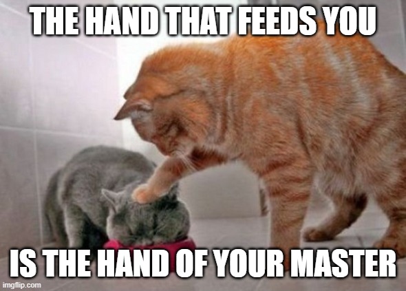Force feed cat | THE HAND THAT FEEDS YOU IS THE HAND OF YOUR MASTER | image tagged in force feed cat | made w/ Imgflip meme maker