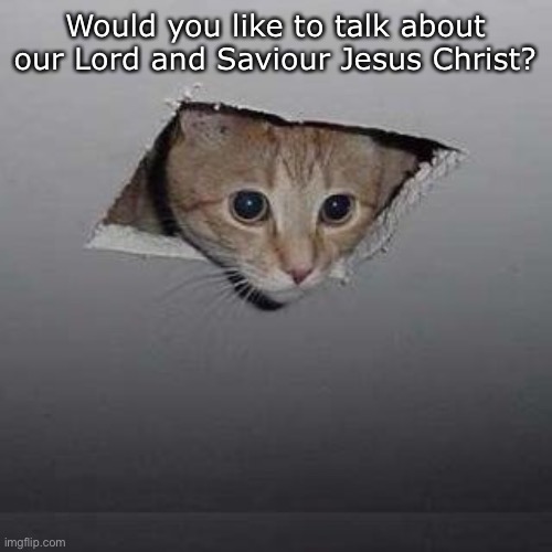 hELlo ThErE | Would you like to talk about our Lord and Saviour Jesus Christ? | image tagged in memes,ceiling cat | made w/ Imgflip meme maker
