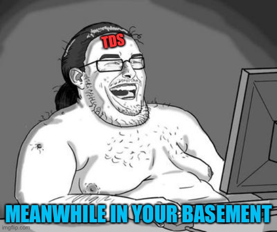 Basement dweller | TDS MEANWHILE IN YOUR BASEMENT | image tagged in basement dweller | made w/ Imgflip meme maker