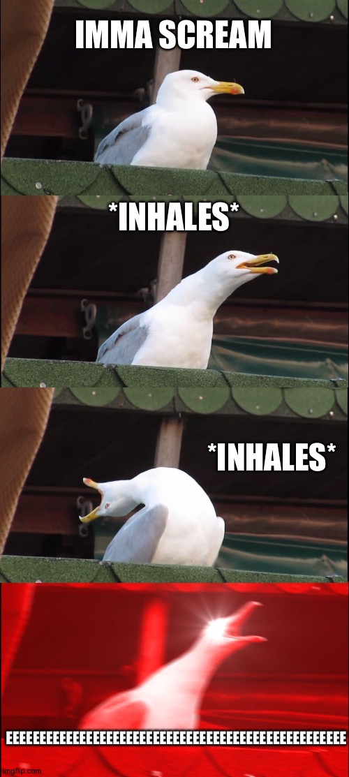 Very boring and useless meme | IMMA SCREAM; *INHALES*; *INHALES*; EEEEEEEEEEEEEEEEEEEEEEEEEEEEEEEEEEEEEEEEEEEEEEEEEEE | image tagged in memes,inhaling seagull,useless stuff | made w/ Imgflip meme maker