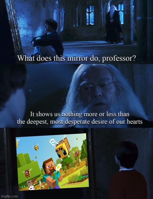 Harry and the mirror of MINECRAFT | image tagged in harry potter mirror | made w/ Imgflip meme maker