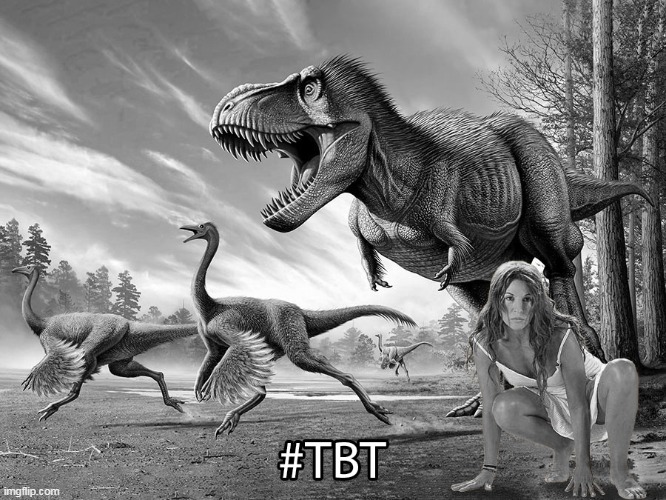 Amparo Grisales TBT | image tagged in tbt,amparo grisales | made w/ Imgflip meme maker