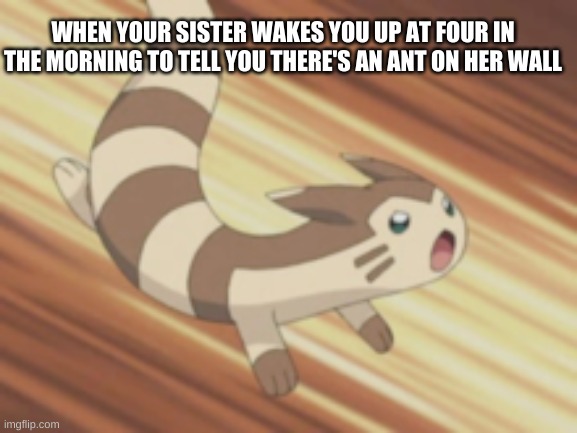 Yes this happened this morning and no I am not okay | WHEN YOUR SISTER WAKES YOU UP AT FOUR IN THE MORNING TO TELL YOU THERE'S AN ANT ON HER WALL | image tagged in angry furret,three hours of sleep,yay | made w/ Imgflip meme maker