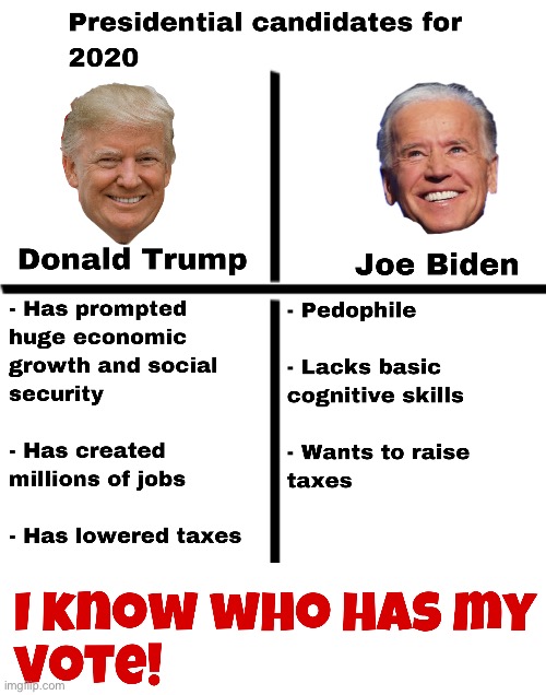2020 presidential candidates - Imgflip
