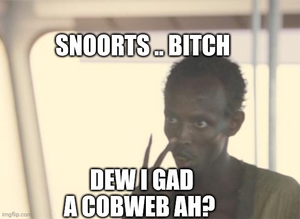Funny | SNOORTS .. BITCH; DEW I GAD A COBWEB AH? | image tagged in memes,i'm the captain now | made w/ Imgflip meme maker