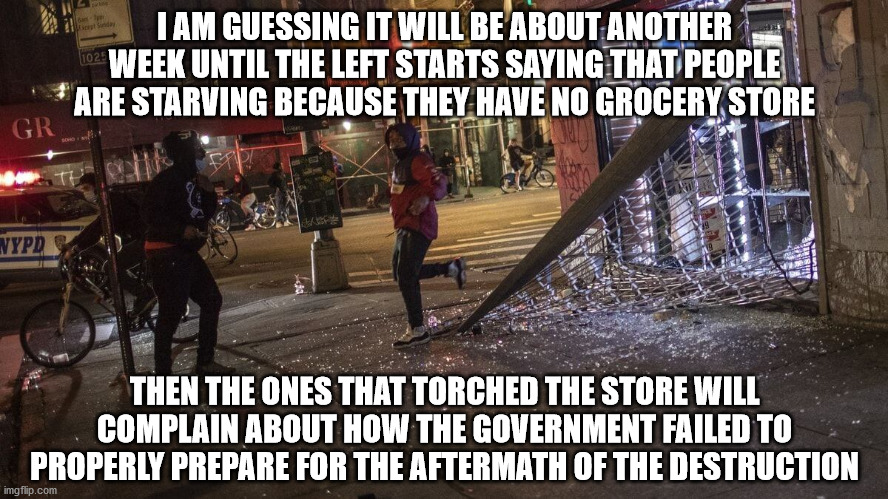 The real victims are the residents that have been terrorized | I AM GUESSING IT WILL BE ABOUT ANOTHER WEEK UNTIL THE LEFT STARTS SAYING THAT PEOPLE ARE STARVING BECAUSE THEY HAVE NO GROCERY STORE; THEN THE ONES THAT TORCHED THE STORE WILL COMPLAIN ABOUT HOW THE GOVERNMENT FAILED TO PROPERLY PREPARE FOR THE AFTERMATH OF THE DESTRUCTION | image tagged in looters | made w/ Imgflip meme maker