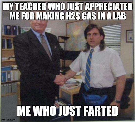 MY TEACHER WHO JUST APPRECIATED ME FOR MAKING H2S GAS IN A LAB; ME WHO JUST FARTED | image tagged in memes,proffesor meme,chemistry,chemistry meme | made w/ Imgflip meme maker