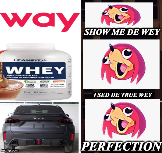 perfection | SHOW ME DE WEY; I SED DE TRUE WEY; PERFECTION | image tagged in perfection,ugandan knuckles,fun | made w/ Imgflip meme maker