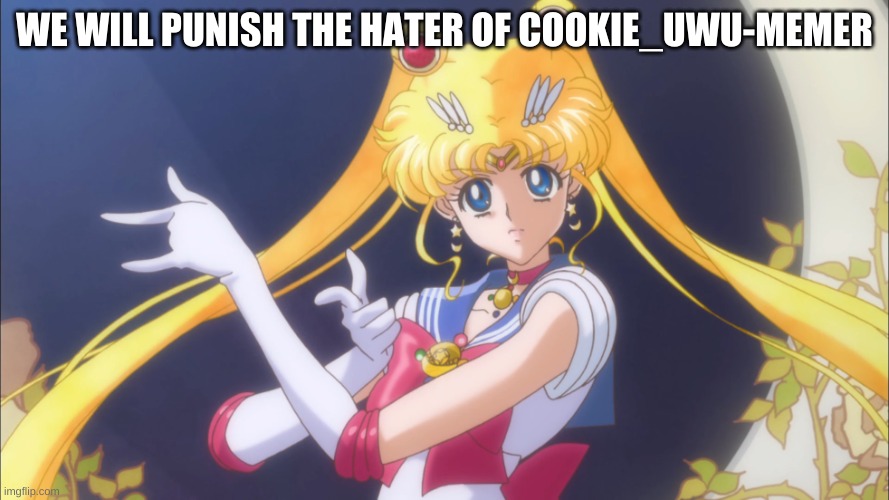 we will! | WE WILL PUNISH THE HATER OF COOKIE_UWU-MEMER | image tagged in i'll punish you | made w/ Imgflip meme maker