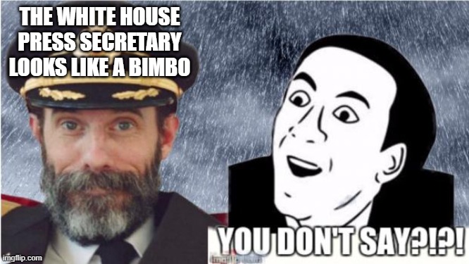 Captain obvious- you don't say? | THE WHITE HOUSE PRESS SECRETARY LOOKS LIKE A BIMBO | image tagged in captain obvious- you don't say,politics,politics lol | made w/ Imgflip meme maker