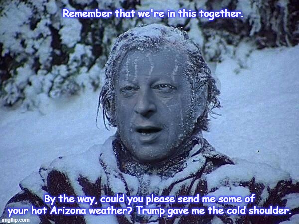 Frozen Al Gore | Remember that we're in this together. By the way, could you please send me some of your hot Arizona weather? Trump gave me the cold shoulder. | image tagged in frozen al gore | made w/ Imgflip meme maker