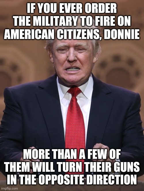 Their oath is to the Constitution | IF YOU EVER ORDER THE MILITARY TO FIRE ON AMERICAN CITIZENS, DONNIE; MORE THAN A FEW OF THEM WILL TURN THEIR GUNS IN THE OPPOSITE DIRECTION | image tagged in donald trump | made w/ Imgflip meme maker