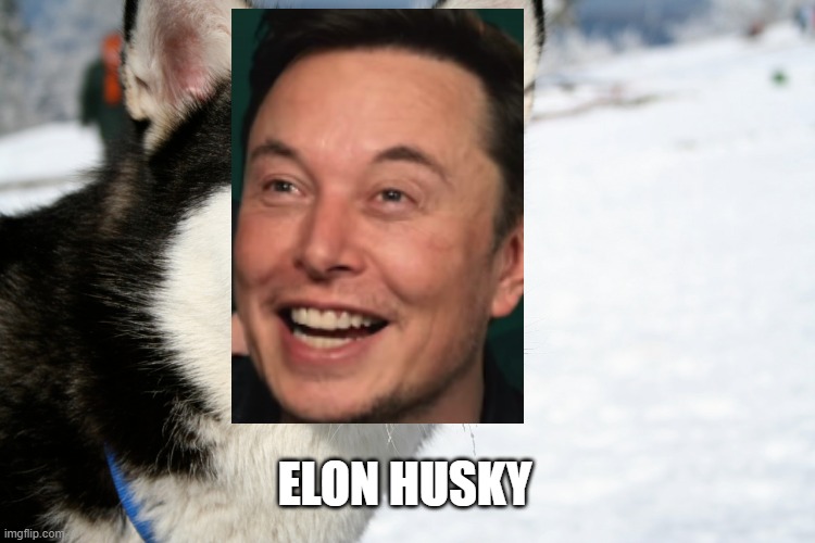 ELON HUSKY | made w/ Imgflip meme maker