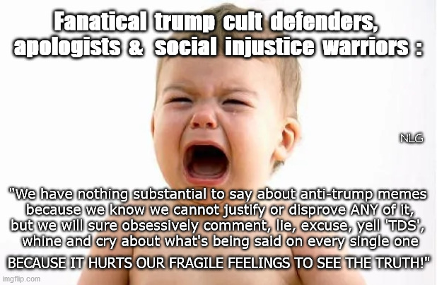 trump cult babies | Fanatical  trump  cult  defenders,  apologists  &   social  injustice  warriors  :; NLG; "We have nothing substantial to say about anti-trump memes
 because we know we cannot justify or disprove ANY of it,
 but we will sure obsessively comment, lie, excuse, yell 'TDS', 
 whine and cry about what's being said on every single one; BECAUSE IT HURTS OUR FRAGILE FEELINGS TO SEE THE TRUTH!" | image tagged in politics,political meme,political | made w/ Imgflip meme maker