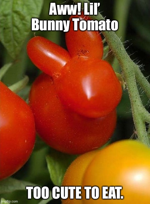 Aww! Lil’ Bunny Tomato; TOO CUTE TO EAT. | made w/ Imgflip meme maker