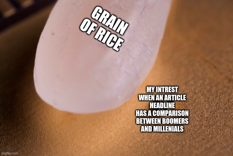 Grain Of Rice | GRAIN OF RICE; MY INTREST WHEN AN ARTICLE HEADLINE HAS A COMPARISON BETWEEN BOOMERS AND MILLENIALS | image tagged in grain of rice | made w/ Imgflip meme maker