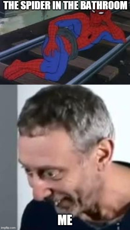 THE SPIDER IN THE BATHROOM; ME | image tagged in when michael rosen realised | made w/ Imgflip meme maker