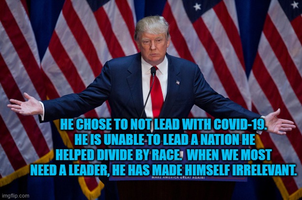 The Irrelevant President Pandemic | HE CHOSE TO NOT LEAD WITH COVID-19.  HE IS UNABLE TO LEAD A NATION HE HELPED DIVIDE BY RACE.  WHEN WE MOST NEED A LEADER, HE HAS MADE HIMSELF IRRELEVANT. | image tagged in politics | made w/ Imgflip meme maker