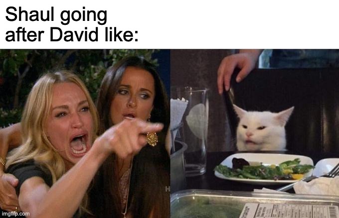 navi memes | Shaul going after David like: | image tagged in memes,woman yelling at cat | made w/ Imgflip meme maker