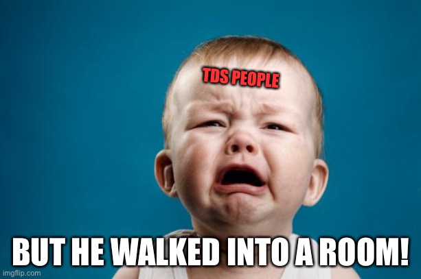 BABY CRYING | TDS PEOPLE BUT HE WALKED INTO A ROOM! | image tagged in baby crying | made w/ Imgflip meme maker