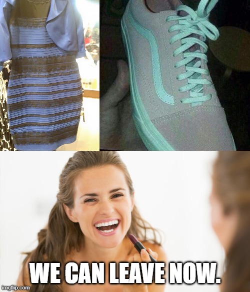The Outfit | WE CAN LEAVE NOW. | image tagged in the dress,the shoe | made w/ Imgflip meme maker