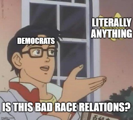 Imagine having a GF who says she has a bad relationship no matter what you do. | LITERALLY ANYTHING; DEMOCRATS; IS THIS BAD RACE RELATIONS? | image tagged in memes,is this a pigeon | made w/ Imgflip meme maker