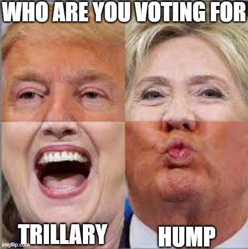 TRillary and hump | WHO ARE YOU VOTING FOR; HUMP; TRILLARY | image tagged in asdf,asdf movie,pie charts,gifs,philosoraptor,bad pun dog | made w/ Imgflip meme maker